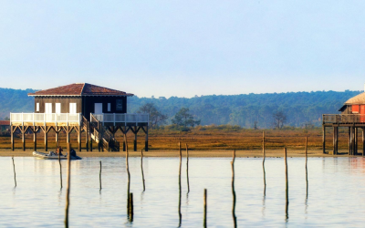 Immobilier bassin d’arcachon 2024, records et douceur de vivre maritime