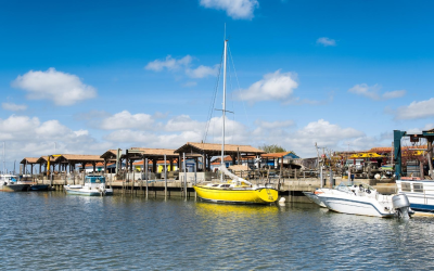 Immobilier arcachon 2024 : pyla flambe, records océaniques et rentabilité patrimoniale